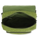 Maleta/Cartera de colegio - Mr. Dino