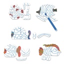 Crear con papel Bajo las olas Djeco