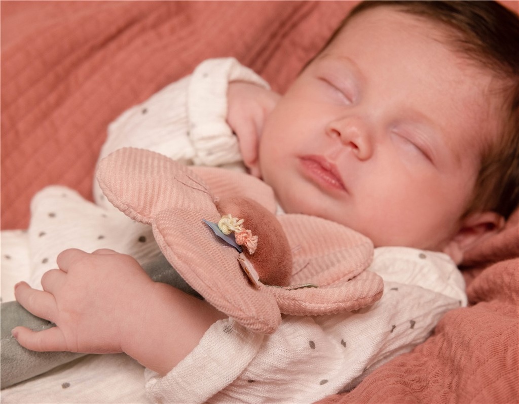 SONAJERO FLORES & MARIPOSAS LITTLE DUTCH