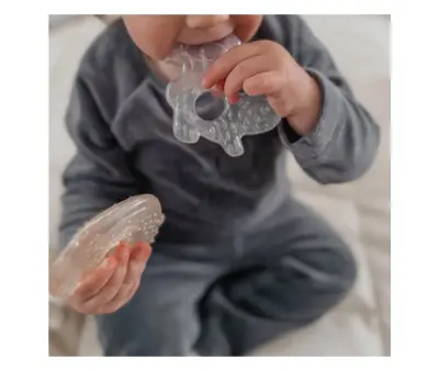 Mordedores Nature1.webp