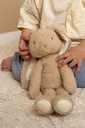 CONEJITO 32 CM BABY BUNNY LITTLE DUTCH